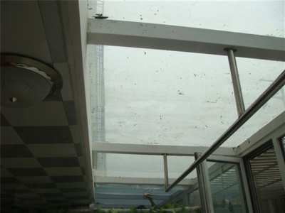 济南玻璃贴膜 济南单向透视贴膜